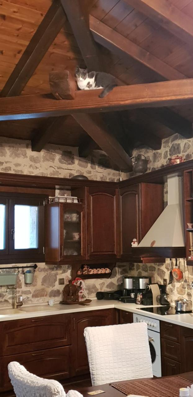 Mountain Villa Graviá Екстериор снимка